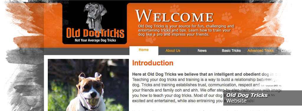Old Dog Tricks Website Image