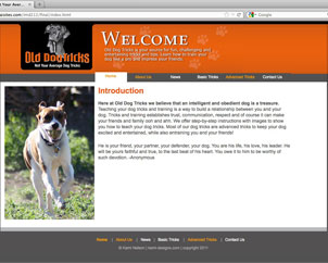 Old Dog Tricks Website Home Page Image
